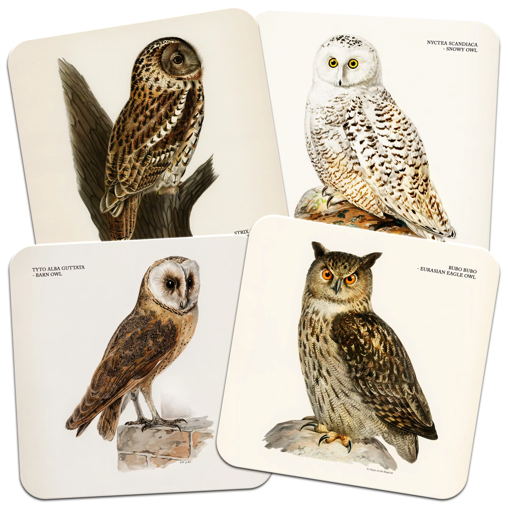Set of 4 Owls 95mm Square Cork Backed Coasters